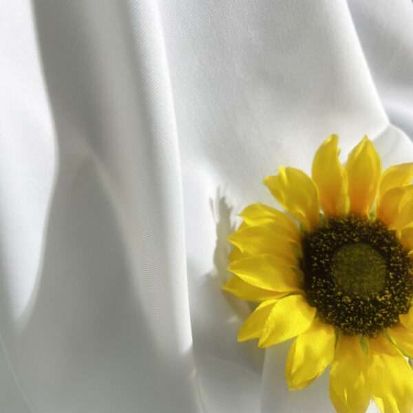 PS013details9